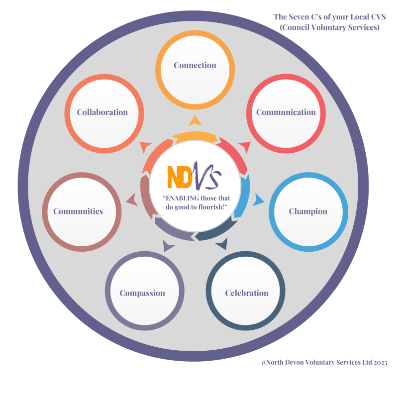 The Seven C's of our CVS
